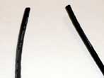 Freshly Cut CAT5